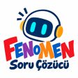 Programikonen: Becerikli Soru Çözücü