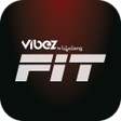 プログラムのアイコン：VIBEZ FIT