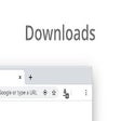 Icona del programma: Downloads