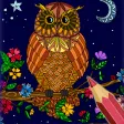 Owls Color by Number Drawings