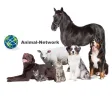 Animal-Network