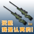 プログラムのアイコン：玩枪我是认真的