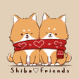 程序图标：Shiba Friends Theme