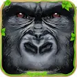 Ultimate Gorilla Clan Simulator