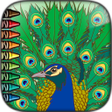 Ikona programu: Peacock Coloring pages
