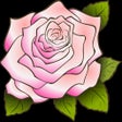 Иконка программы: Durood Tunjina