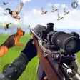 Wild Bird Hunting Simulator 3D