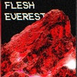 プログラムのアイコン：Flesh Everest