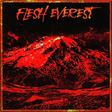 Ícone do programa: Flesh Everest