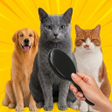 Brush Jjaemu Challenge icon