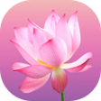 程序图标：Flower Wallpapers and Bac…