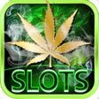 프로그램 아이콘: Dream of Weed Slot Machin…