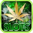 Dream of Weed Slot Machines  Free Slots  Casino