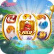 أيقونة البرنامج: Fire Joker Fun Spin