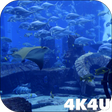 程序图标：4K Aquarium Tank Video Li…