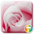 程序图标：Rose. ASUS ZenUI Theme