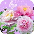 Pictures of Flowers App