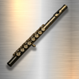 プログラムのアイコン: Professional Flute