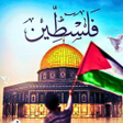 Palestine Wallpaper icon