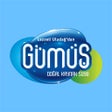 Ikon program: Gümüş Su