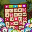 Ikon program: Bingo King