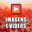 程序图标：Imagens e Videos para Wha…