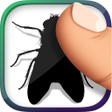 Иконка программы: Flies Killer