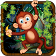 プログラムのアイコン：Monkey Adventure Run