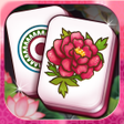 أيقونة البرنامج: Mahjong Master Solitaire