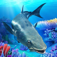 أيقونة البرنامج: The Cobia
