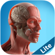 Icon of program: Anatomy Game Anatomicus L…