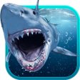 プログラムのアイコン：Shark Attack Animated Key…
