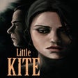 프로그램 아이콘: Little Kite
