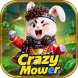 Icoon van programma: Crazy Mower