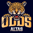 Icon of program: Odds Altas