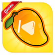 Ikon program: mango live streaming guid…