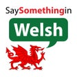 Ícone do programa: SaySomethinginWelsh