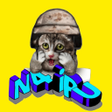 プログラムのアイコン：N4ipu Game Shop