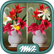 プログラムのアイコン：Find the Difference Flowe…