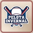 プログラムのアイコン：Pelota Invernal