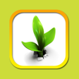 Biểu tượng của chương trình: Справочник лекарственных …
