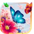 Butterflies Keyboard Wallpaper