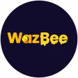プログラムのアイコン：Wazbee