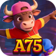 Ícone do programa: A75 Hunt