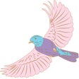 Ikona programu: Little Bird Pilates