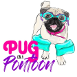 Pug On A Pontoon