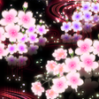 プログラムのアイコン：-Starry Sakura- Theme HOM…