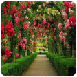 程序图标：Garden photos frames