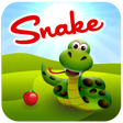 プログラムのアイコン：Snake Game Evo