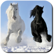 Horse Wallpapers icon